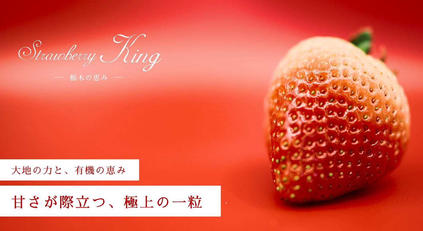 いちご工房　0308 Ichigo BonBonBERRY Izu no Kuni Factory - Takyo/Cake | Tabelog